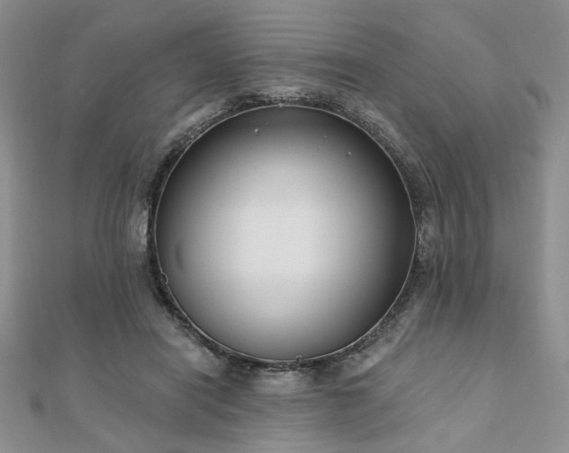 X0000110920454200906181412