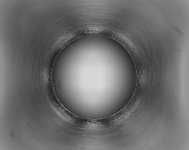 X0000110920455200906181412