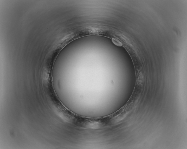 X0000110920456200906181412