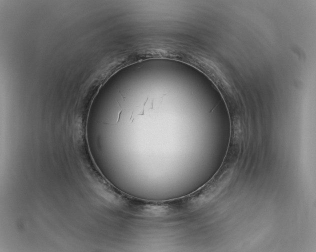 X0000110920457200906181412