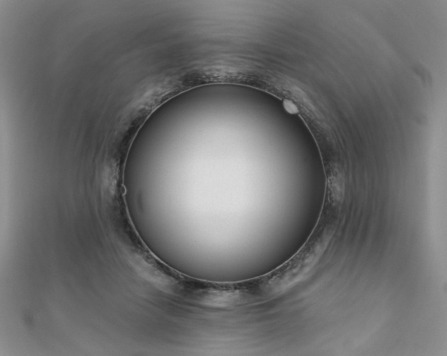 X0000110920458200906181412