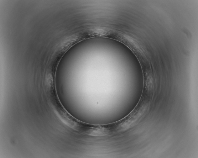 X0000110920459200906181412