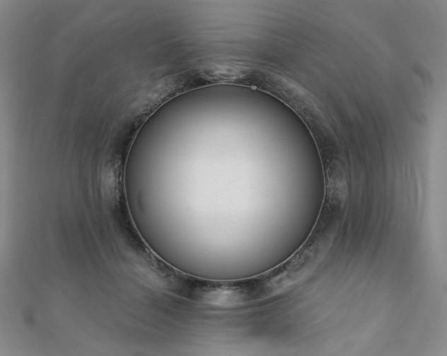 X0000110920460200906181412