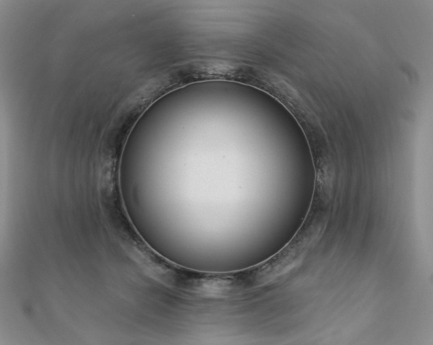 X0000110920462200906181412