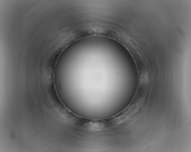 X0000110920464200906181412