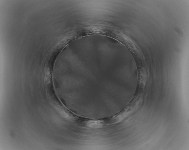 X0000110920465200906181412