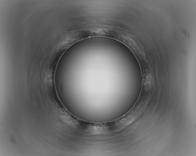 X0000110920466200906181412