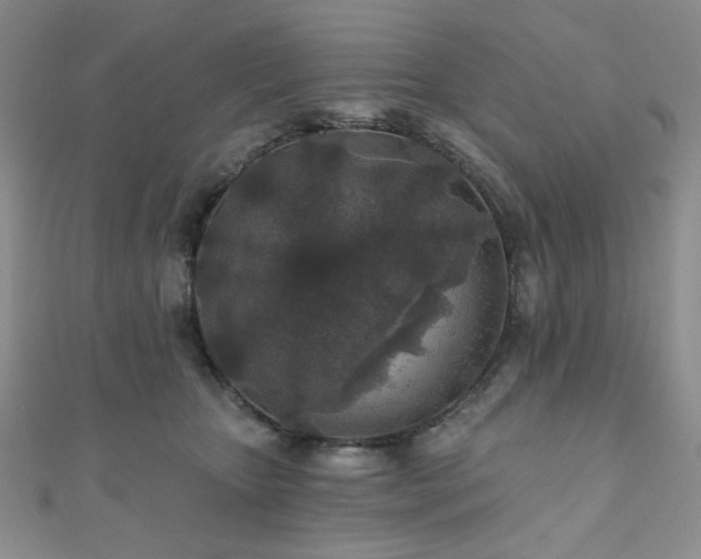 X0000110920467200906181412