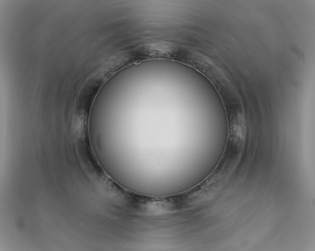 X0000110920468200906181412