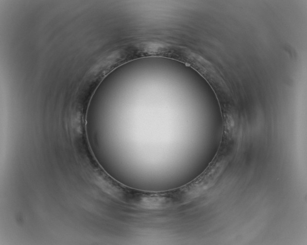 X0000110920470200906181412