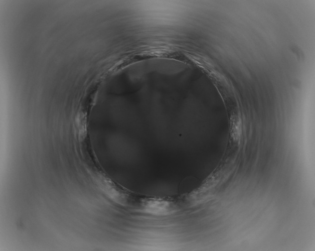 X0000110920471200906181412