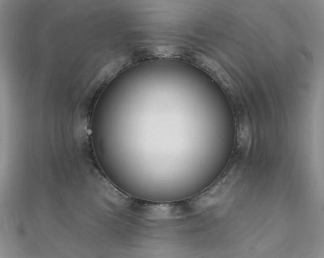 X0000110920473200906181412