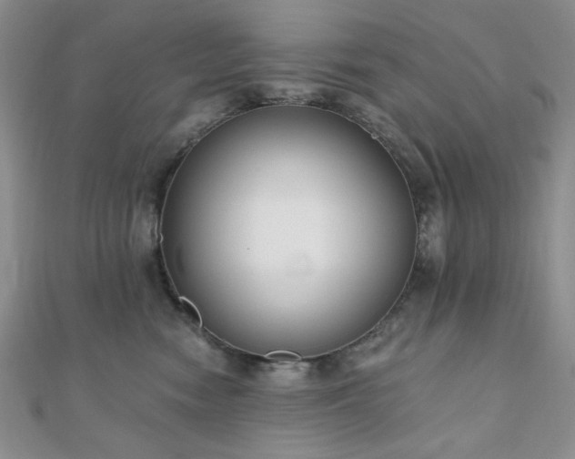 X0000110920474200906181412