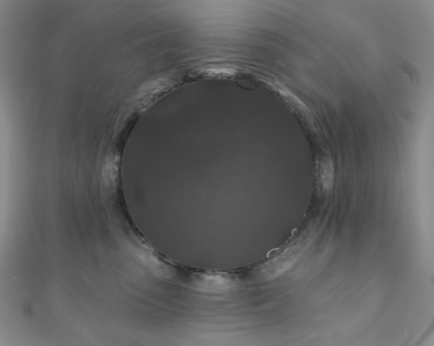 X0000110920475200906181412