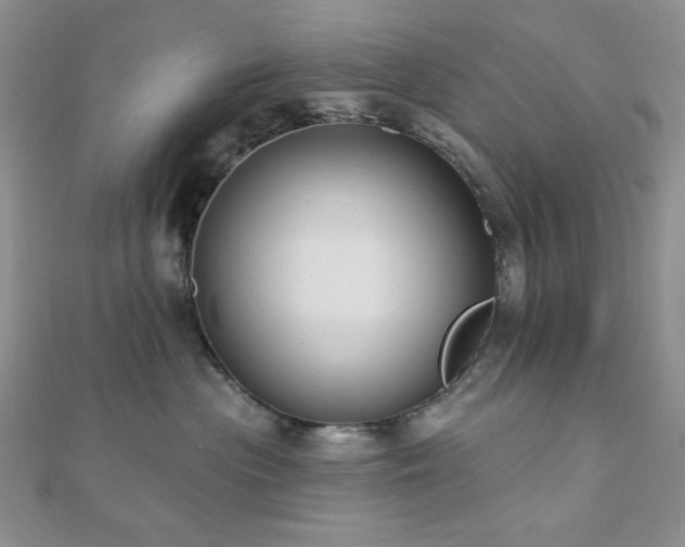 X0000110920477200906181412