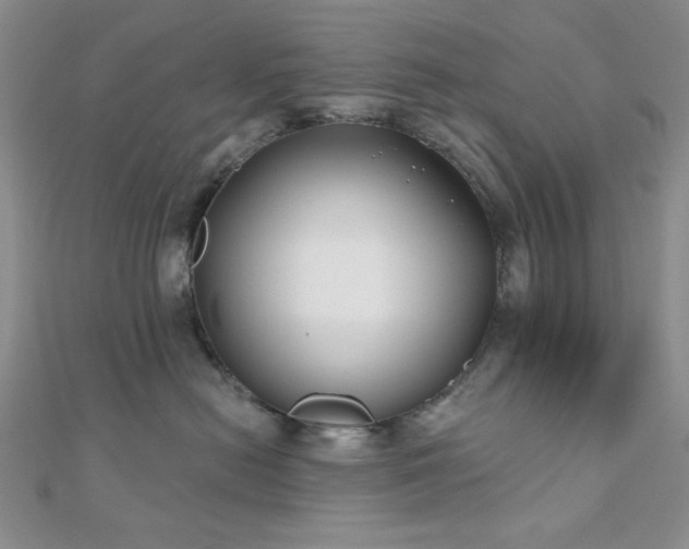 X0000110920478200906181412