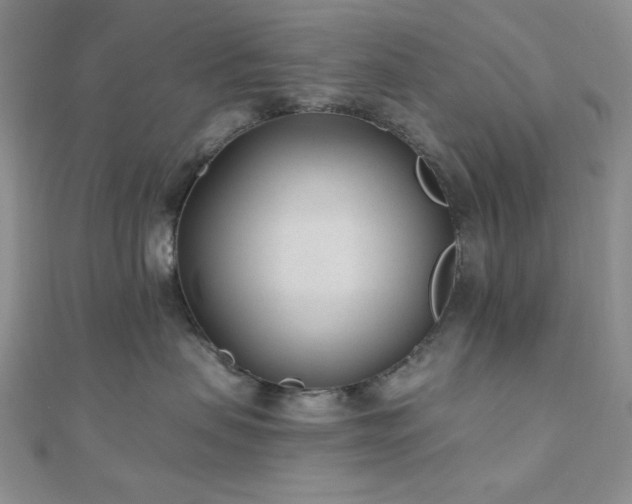 X0000110920479200906181412
