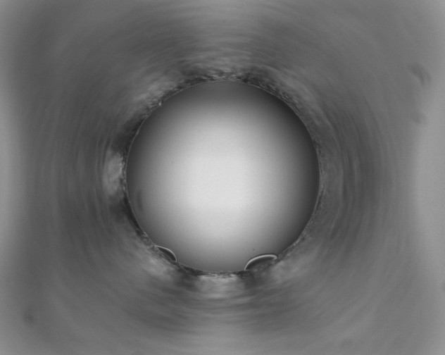 X0000110920480200906181412