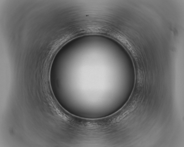 X0000110920481200906181412