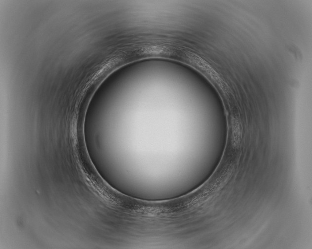 X0000110920482200906181412