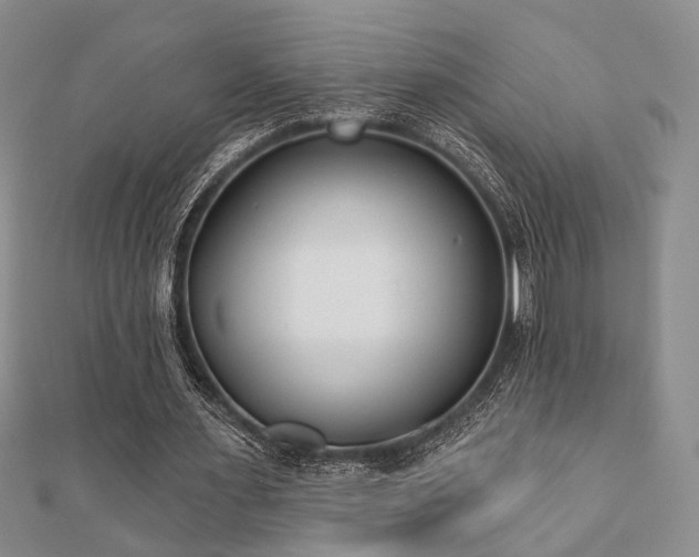 X0000110920483200906181412