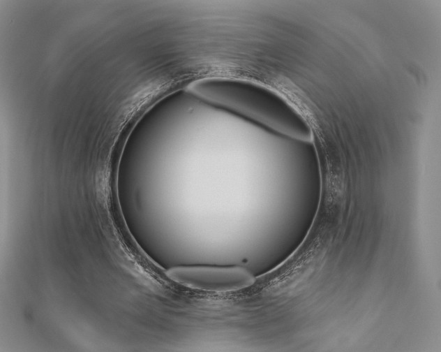 X0000110920485200906181412