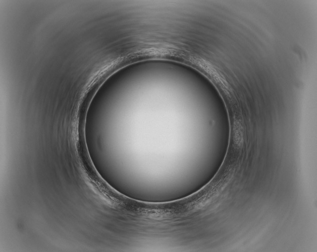 X0000110920486200906181412