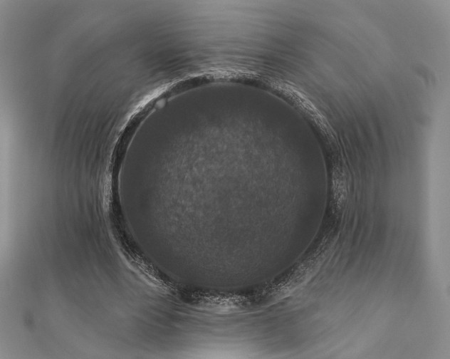 X0000110920488200906181412