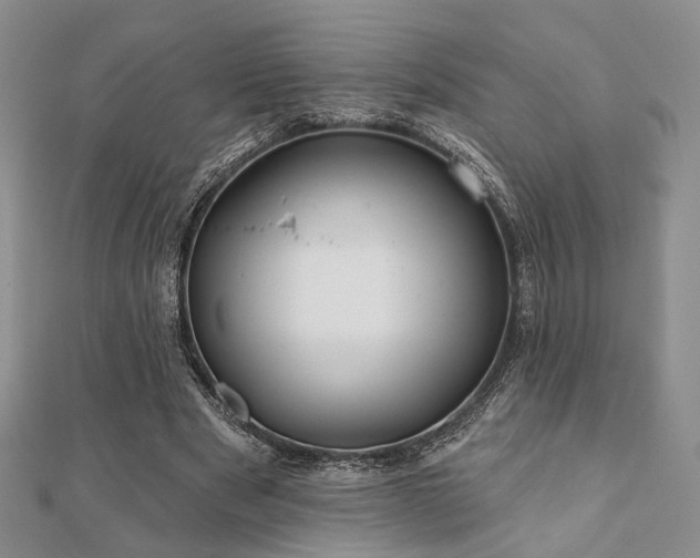 X0000110920489200906181412