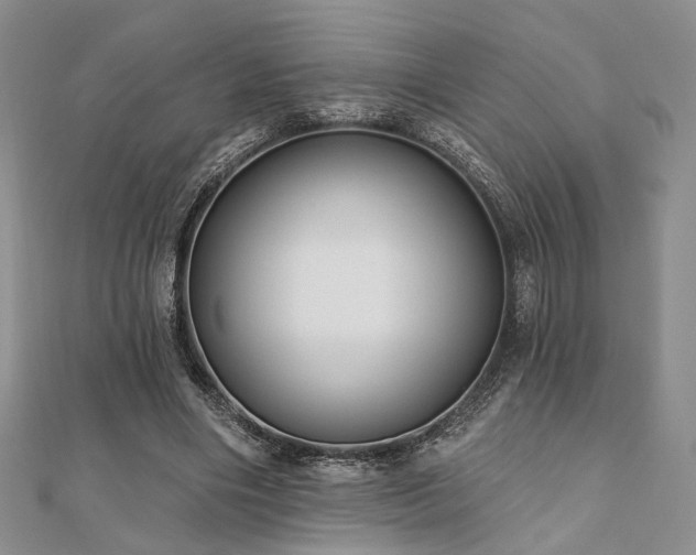 X0000110920490200906181412