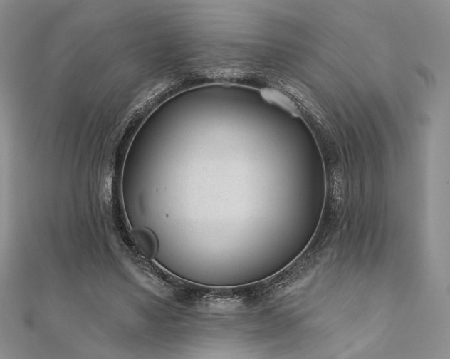 X0000110920491200906181412