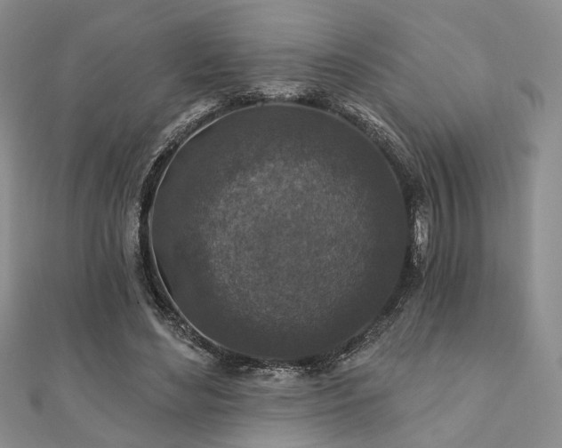 X0000110920492200906181411