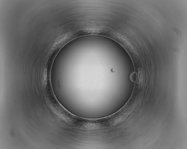X0000110920494200906181411