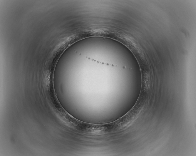 X0000110920495200906181411