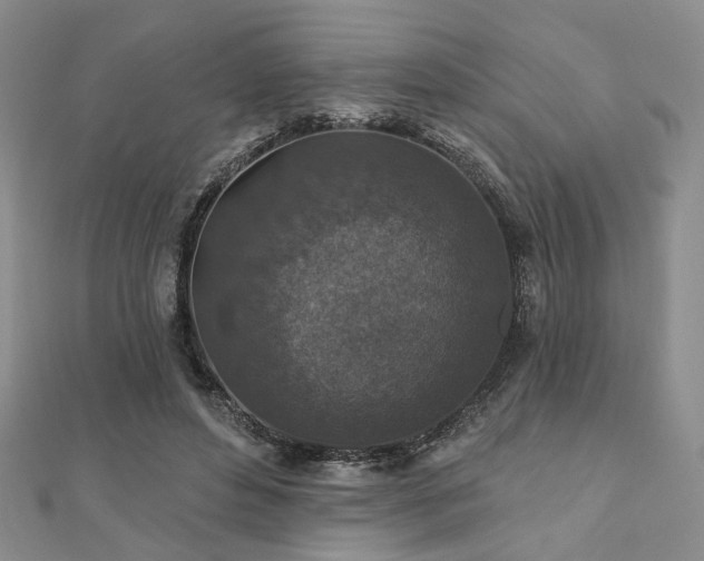 X0000110920496200906181411