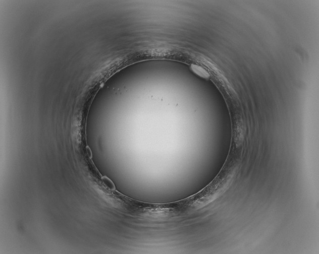 X0000110920497200906181411