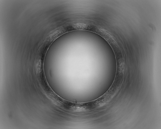 X0000110920498200906181411