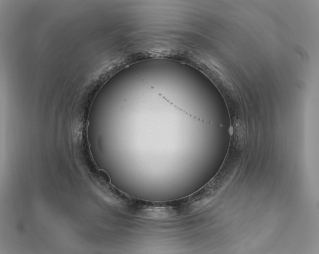 X0000110920499200906181411