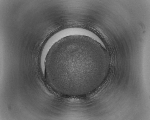 X0000110920500200906181411