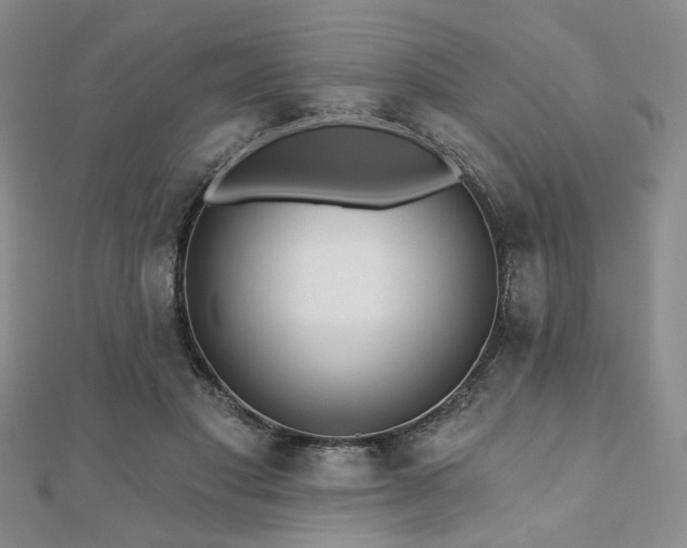 X0000110920501200906181411