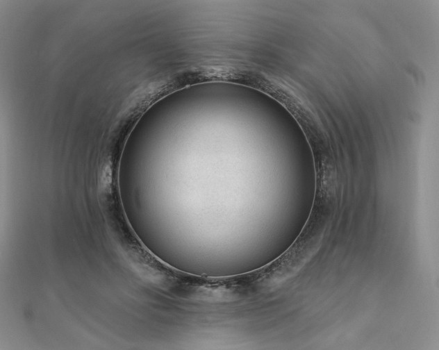 X0000110920502200906181411