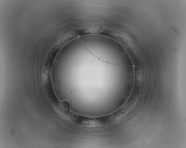 X0000110920503200906181411