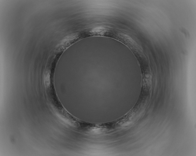 X0000110920504200906181411