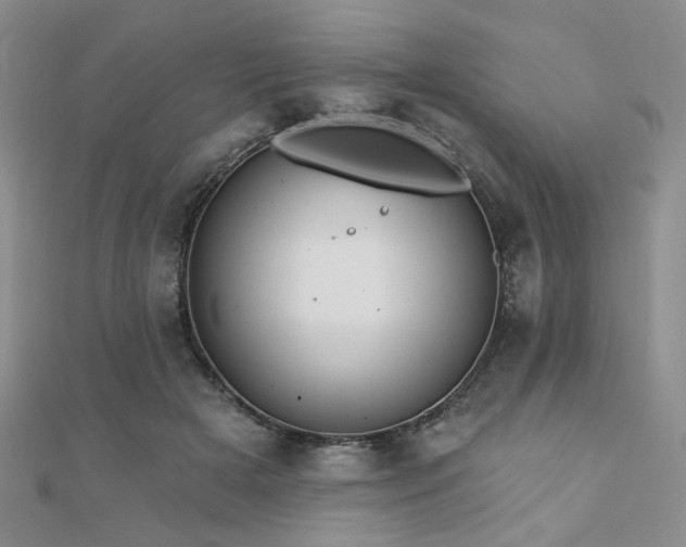 X0000110920505200906181411