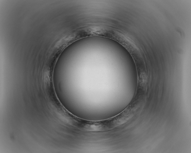 X0000110920506200906181411