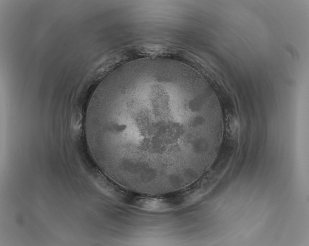 X0000110920507200906181411
