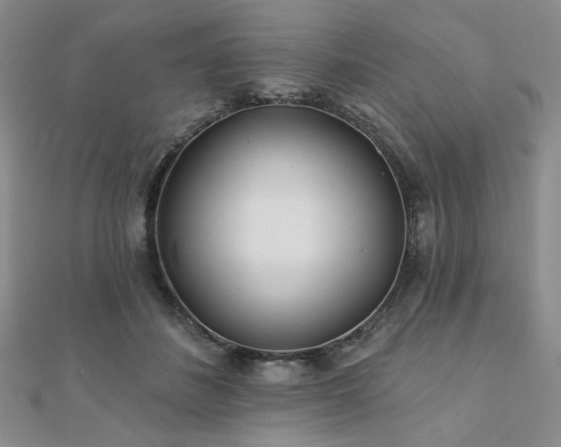 X0000110920508200906181411