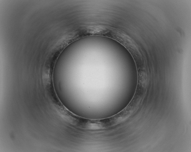 X0000110920510200906181411