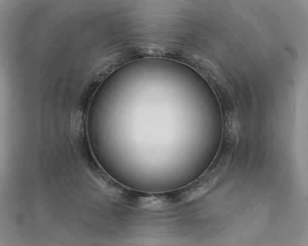 X0000110920511200906181411