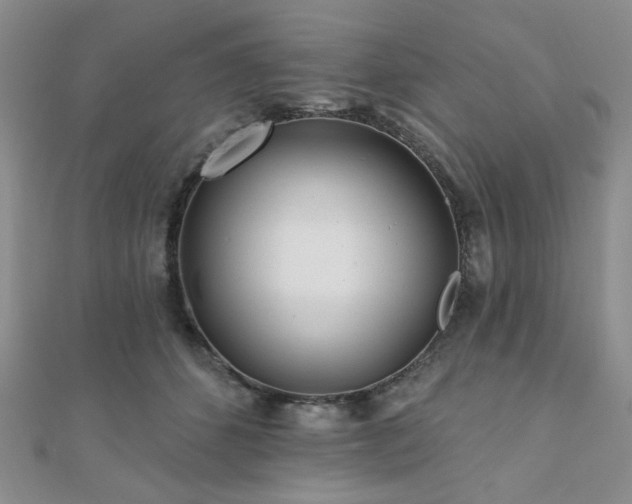 X0000110920512200906181411